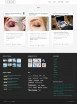 Blogger - Wordpress Magazine Theme Screenshot 2