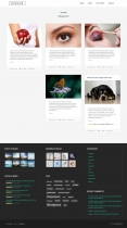 Blogger - Wordpress Magazine Theme Screenshot 3