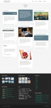 Blogger - Wordpress Magazine Theme Screenshot 9