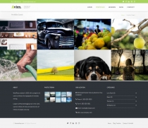 Avien - Wordpress Portfolio Business Theme Screenshot 2