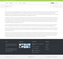 Avien - Wordpress Portfolio Business Theme Screenshot 5
