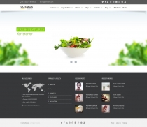 Cosmos - Wordpress Business Theme Screenshot 1
