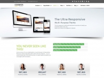 Cosmos - Wordpress Business Theme Screenshot 5