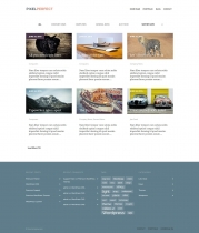 PixelPerfect - Wordpress Theme Screenshot 2