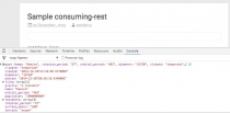 Consuming API REST - WordPress Plugin Screenshot 3