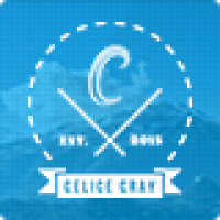 Celice - WordPress Portfolio Theme
