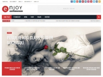Enjoy - WordPress Magazine and Blog Theme Screenshot 10
