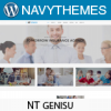 nt-genisu-wordpress-insurance-company-theme