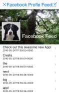 Facebook Profile Feed - iOS Template Screenshot 1