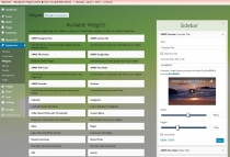 Active Master WS Plugin - WordPress Plugin Screenshot 2