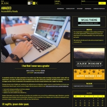 Amadeo Pro - Accessibility Ready WordPress Theme Screenshot 2