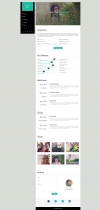 Swiftly - Resume Wordpress Theme Screenshot 3