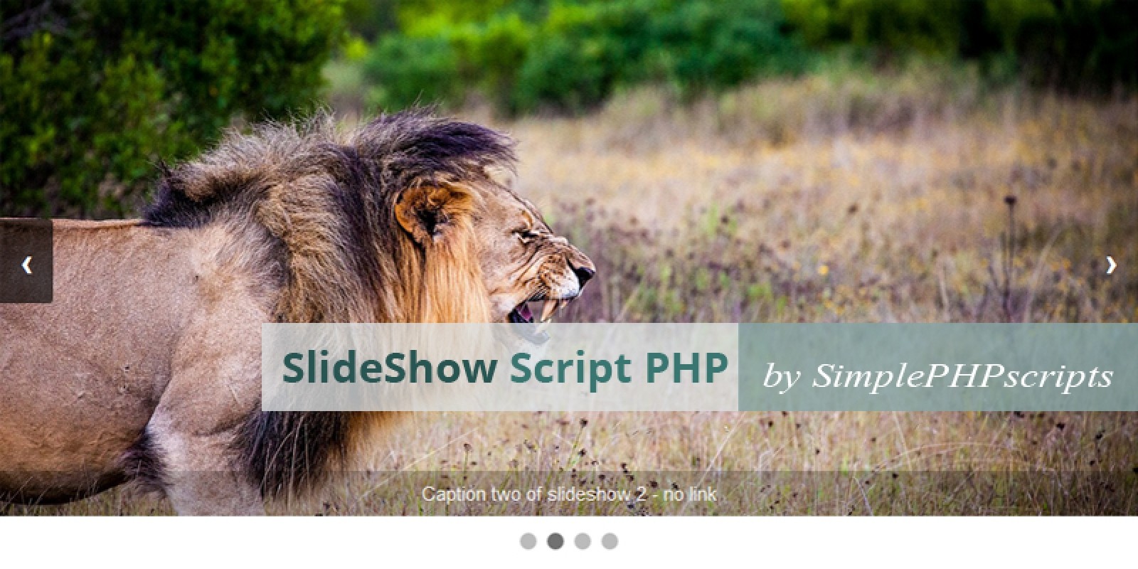 Slideshow Script PHP by Nevenov Codester