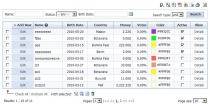 PHP DataGrid Light - Data-Bound Grid Control Screenshot 2