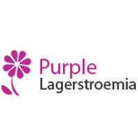 Ap Purple Lagerstroemia Prestashop Theme