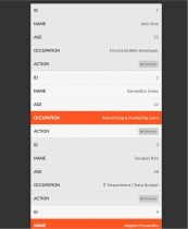 Lukita Responsive CSS Tables Screenshot 3