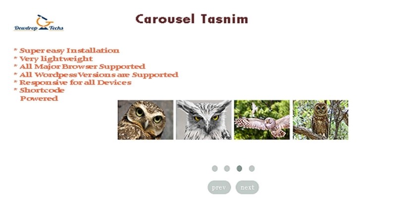 Carousel Tasnim - WordPress Slider Plugin