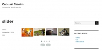 Carousel Tasnim - WordPress Slider Plugin Screenshot 4