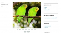 Carousel Tasnim - WordPress Slider Plugin Screenshot 5