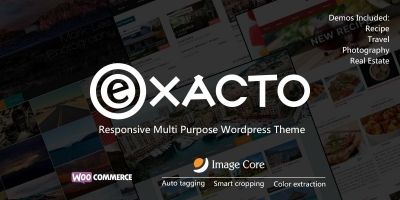 Exacto - Responsive WordPress Theme