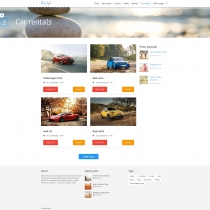Booking Travel WordPress Theme Screenshot 2