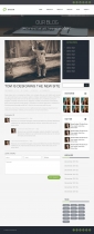 Bahar - Responsive  Multipurpose HTML Template   Screenshot 3