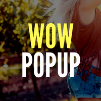 WowPopup - WordPress Popup Plugin