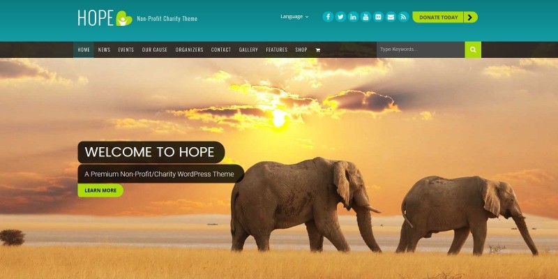 Hope Charity - WordPress Theme
