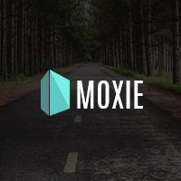 Moxie - Multi-Purpose WordPress theme 