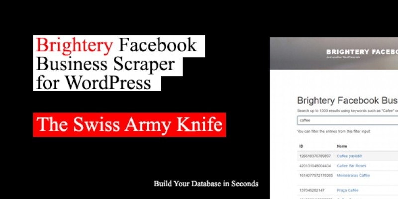 Facebook Business Scraper - Wordpress Plugin