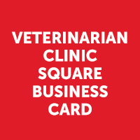 Veterinarian Clinic Square Business Card