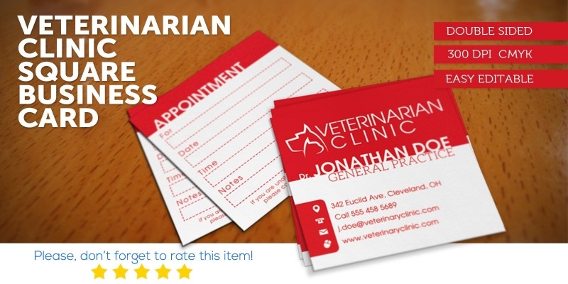 Veterinarian Clinic Square Business Card