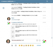 Telegram Notification For WooCommerce Screenshot 4