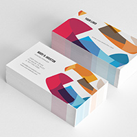 N1 Brand Identity Template