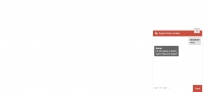 Live Chat Support Script Screenshot 2