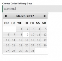 WooCommerce Order Delivery Date Plugin Screenshot 4