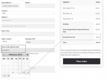 WooCommerce Order Delivery Date Plugin Screenshot 12