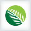Palm Leaf Logo Template