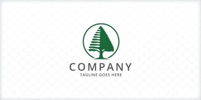Pine Tree Logo Template