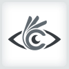 Eye - Perfect Vision Logo Template