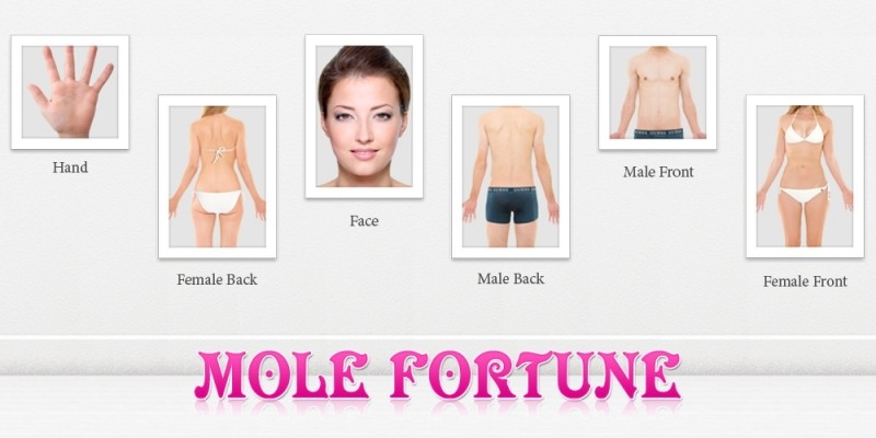 Mole Fortune Android Source Code