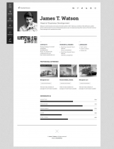 James - Resume & Portfolio WordPress Screenshot 2