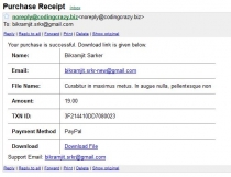 PayPal Digital Downloads PHP Script Screenshot 8