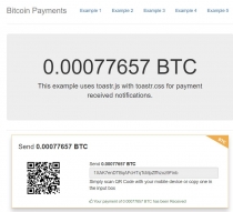 Blockchain Bitcoin Payments PHP Script Screenshot 5