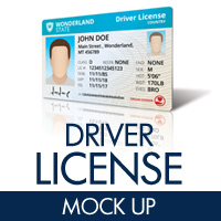 Download Driver License Mock Up By Doghead Codester