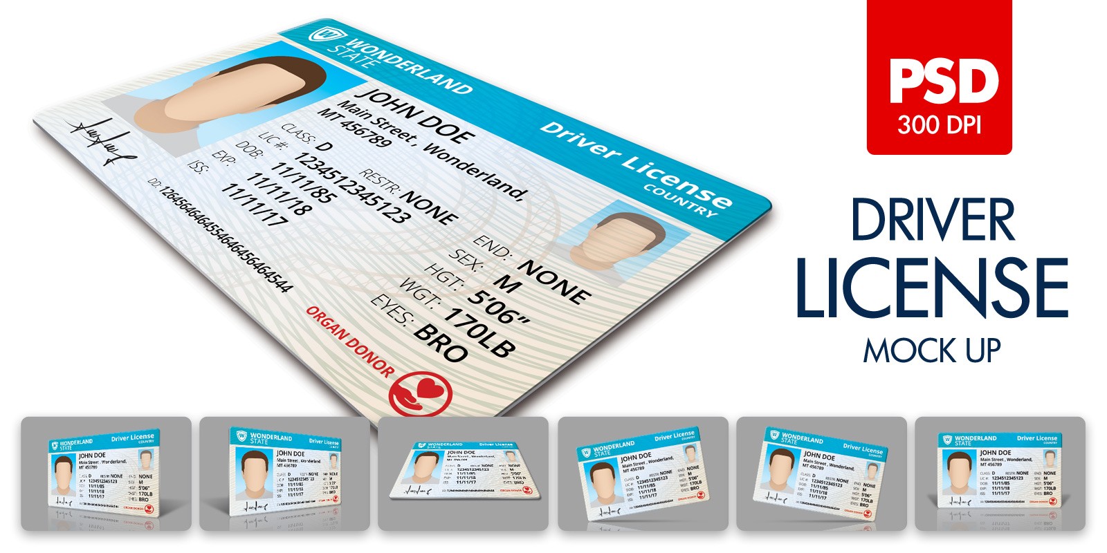 Download Driver License Mock Up by Doghead | Codester