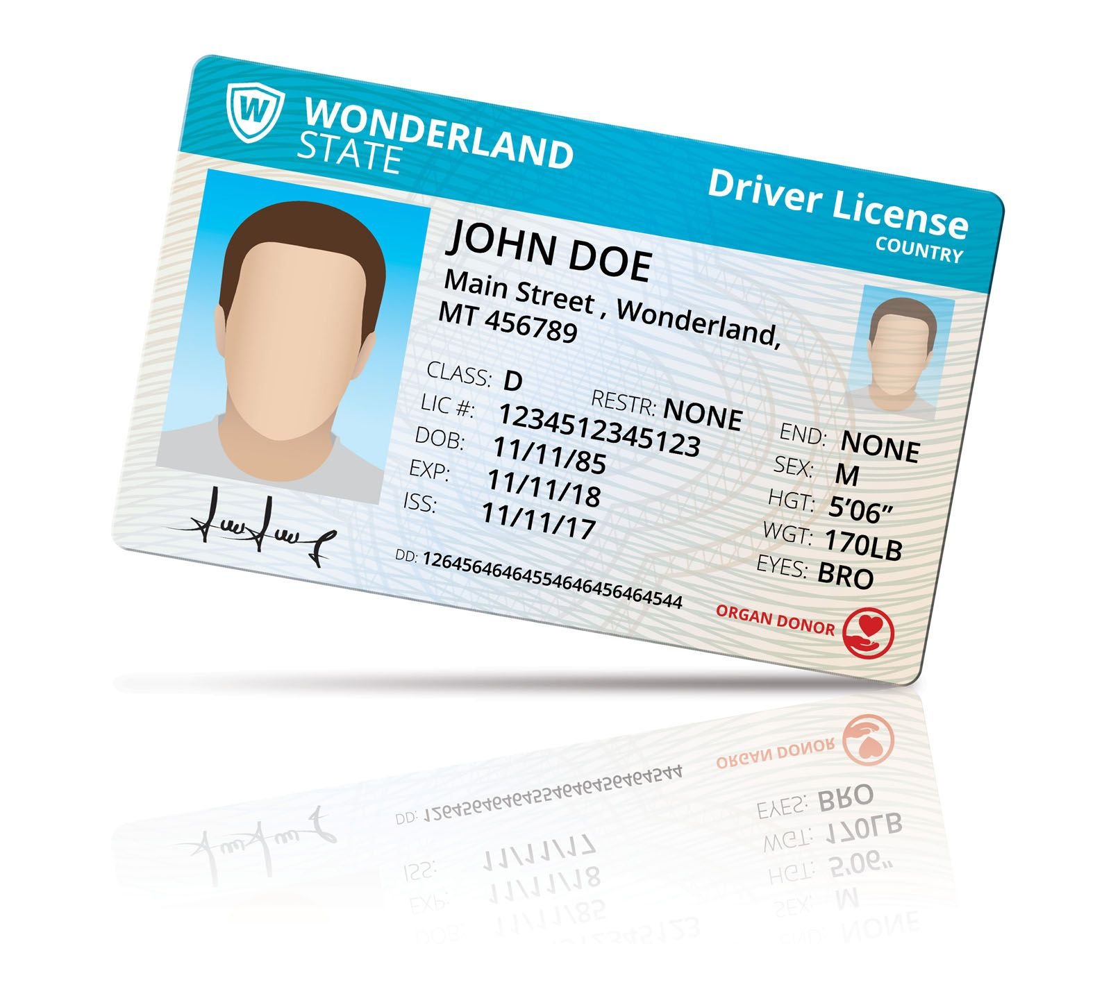 Download Driver License Mock Up By Doghead Codester