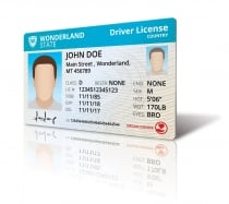 Driver License Mock Up Screenshot 7