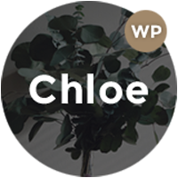 Chloe - WordPress Theme For Stylish Bloggers 