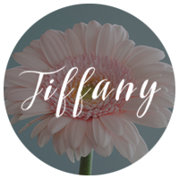 Tiffany - Clean and Simple WordPress Blog Theme